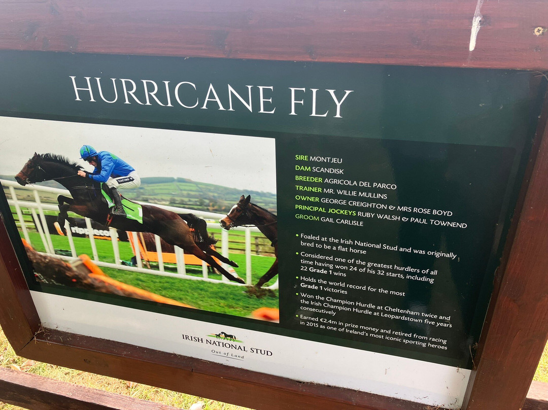 Irish National Stud & Gardens-Tully必去景点
