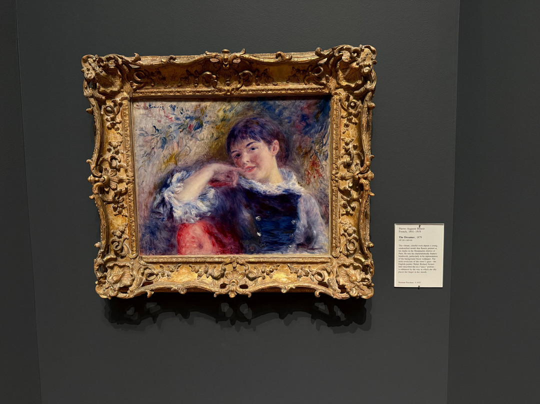 Saint Louis Art Museum-圣路易斯必去景点
