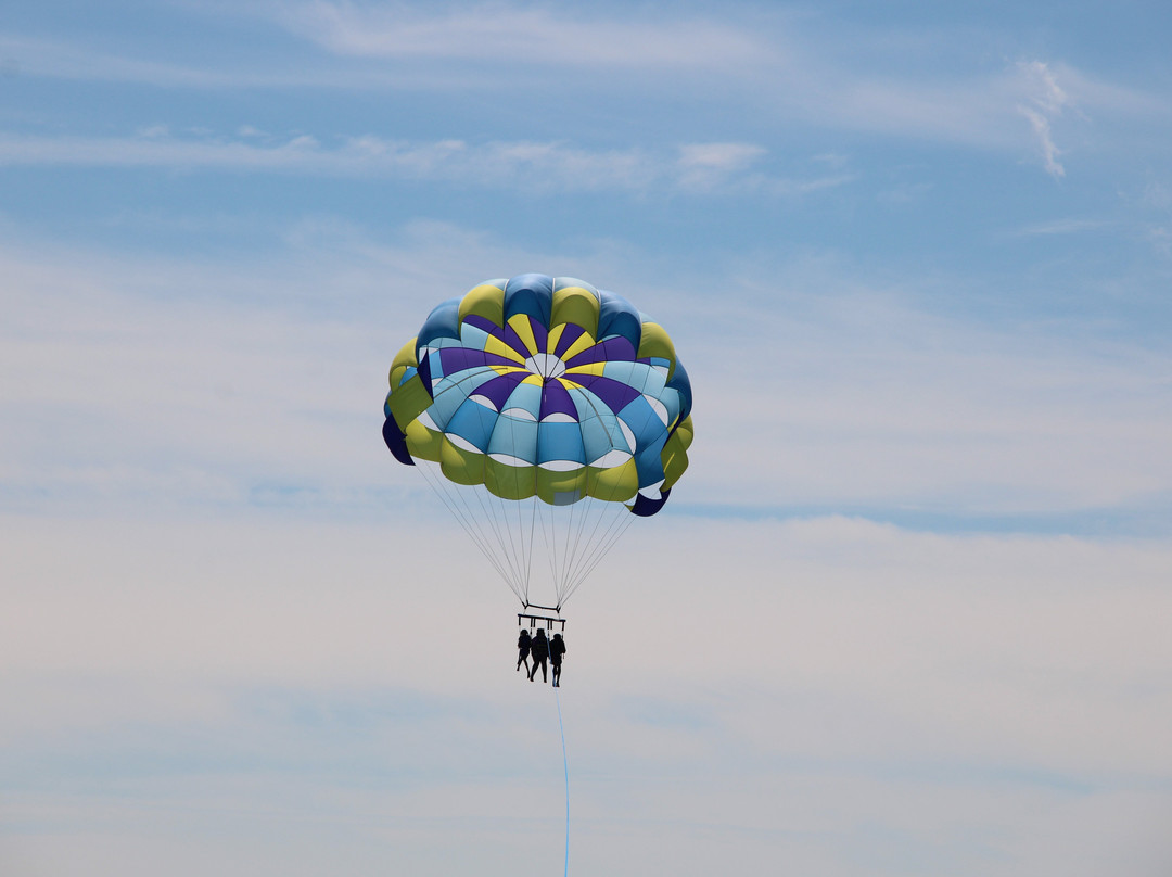 Dennis Parasail & Jet Ski-East Dennis必去景点