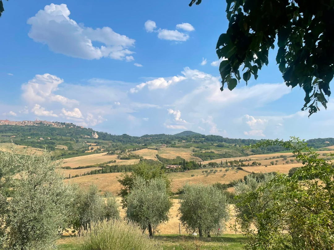 Tenuta Valdipiatta-蒙特普尔恰诺必去景点