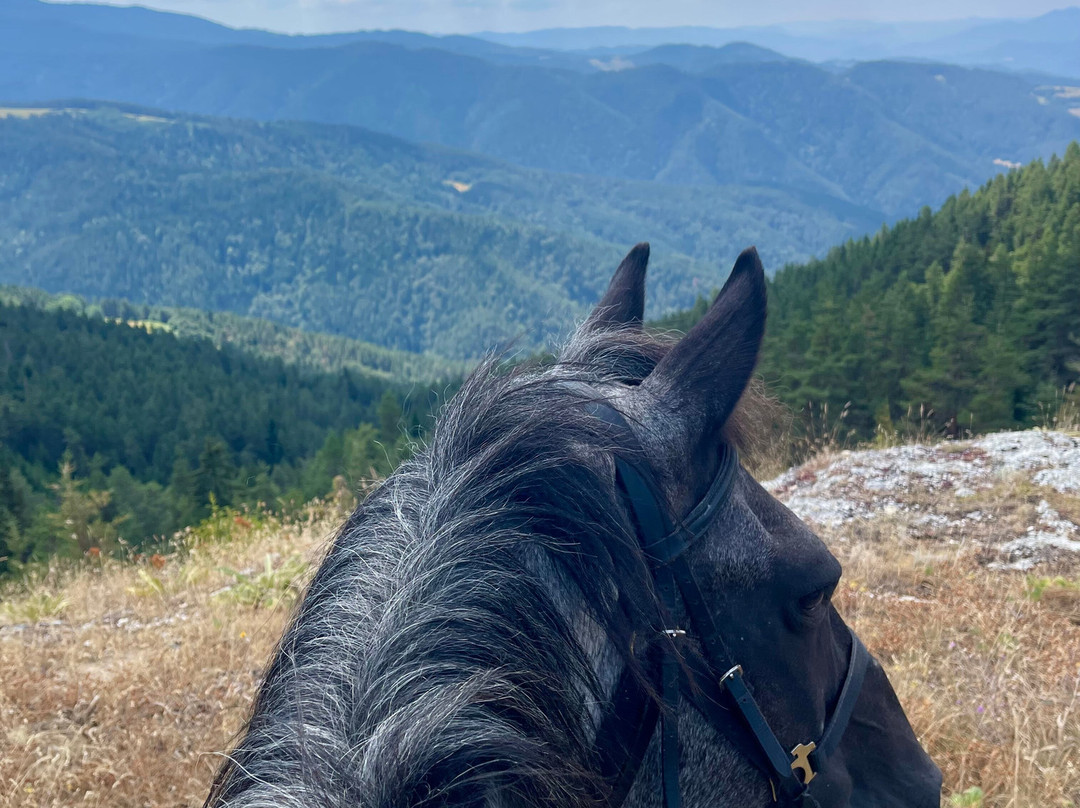 Horseriding Bulgaria - Day Tours-索非亚必去景点