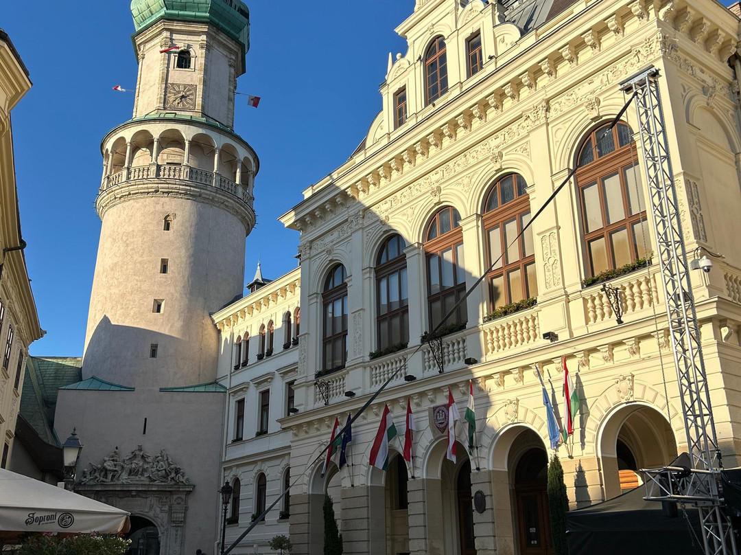 Sopron Old Town-修普伦必去景点