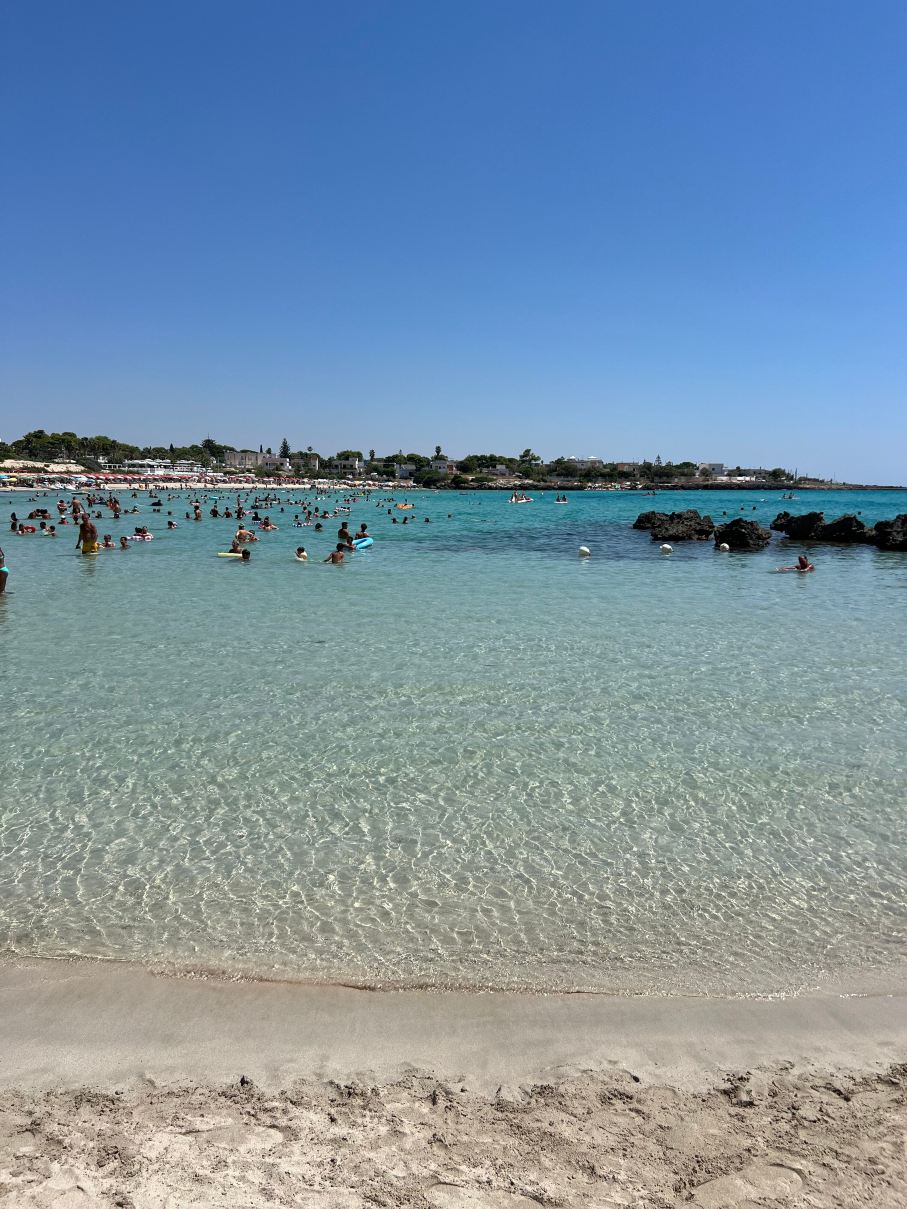 加比亚诺尼可拉斯俱乐部-旅行者