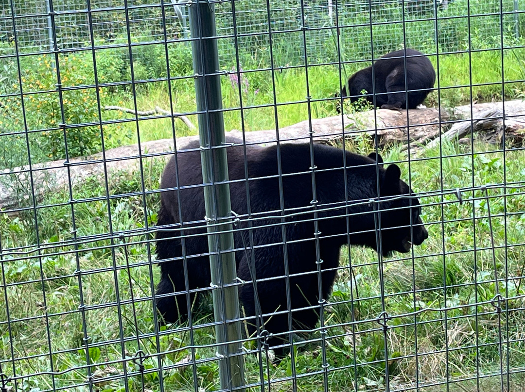 Shalom Wildlife Zoo-West Bend必去景点