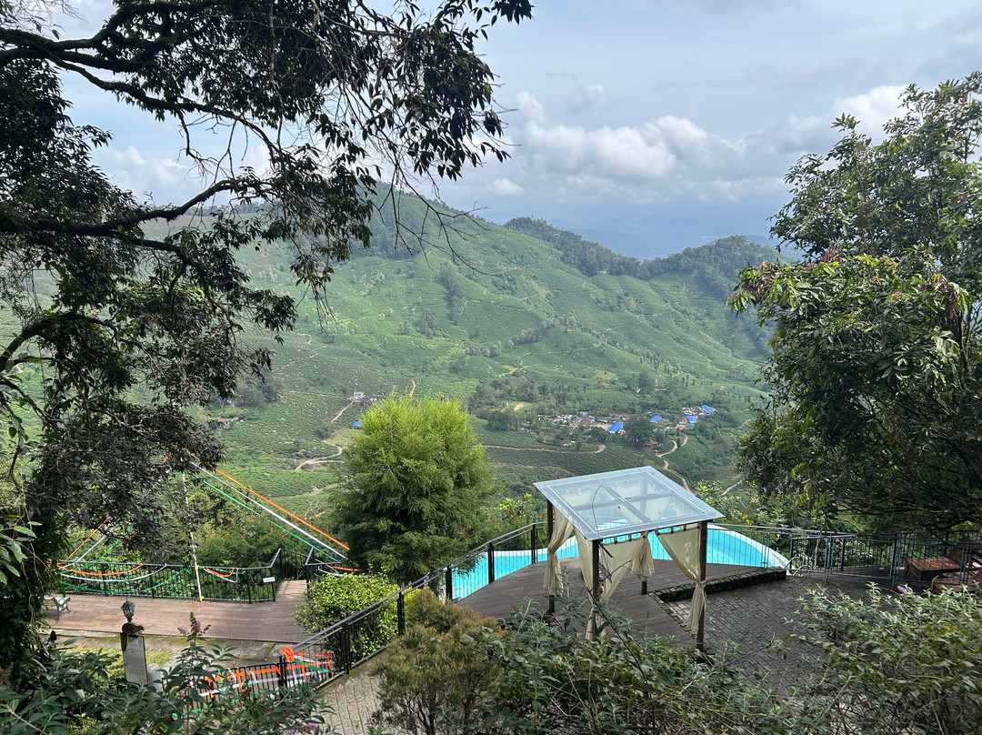 蒙纳黑莓山酒店 - 自然度假村及水疗中心主图