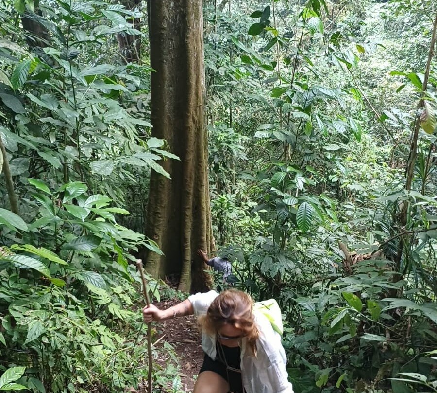 Batang Palupuh Nature Conservation Center (Rafflesia Park)-Palupuh必去景点