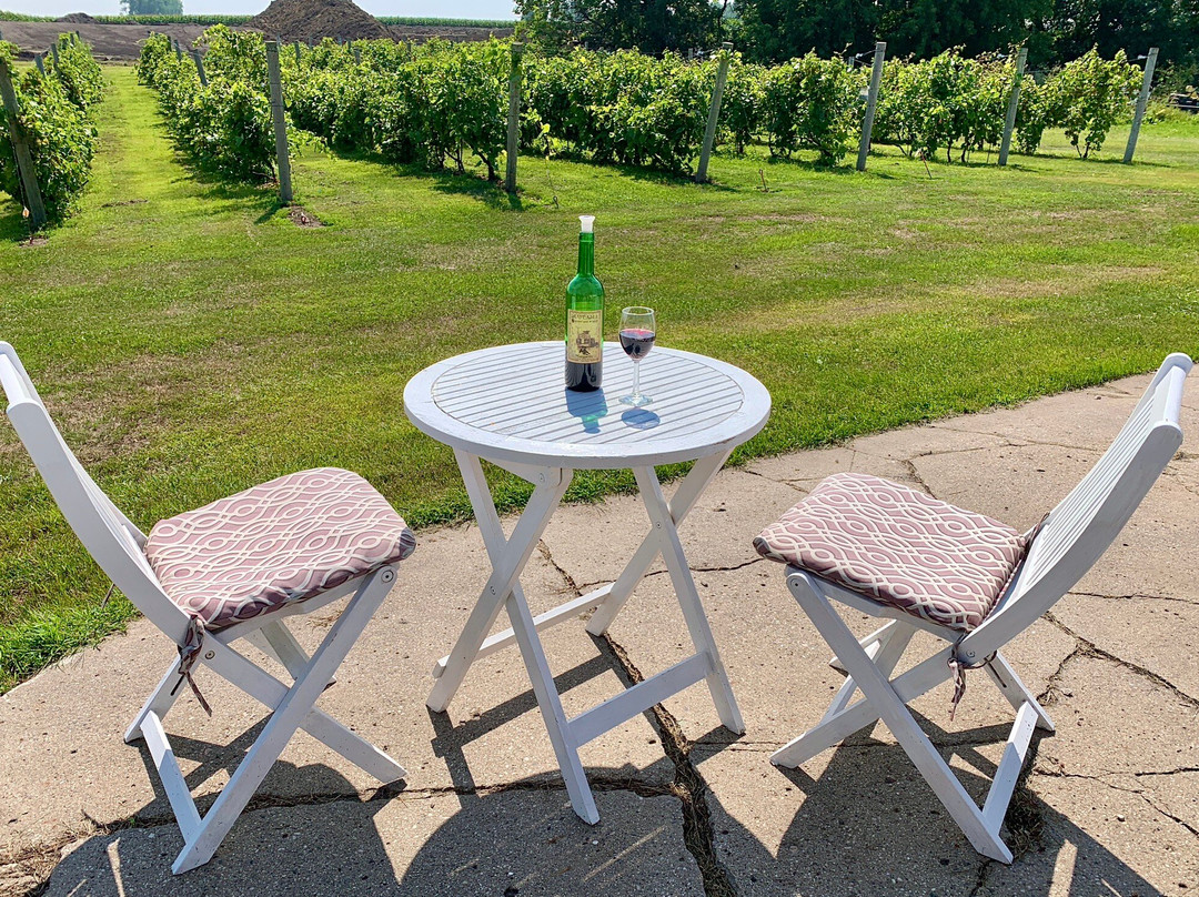 Grape Mill Vineyard and Winery-East Grand Forks必去景点