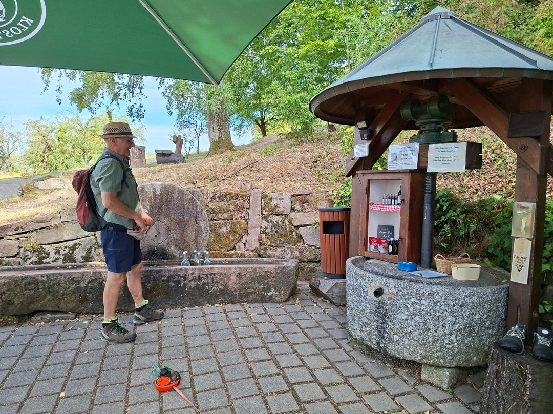 Shcnapsbrunnenweg-Sasbachwalden必去景点