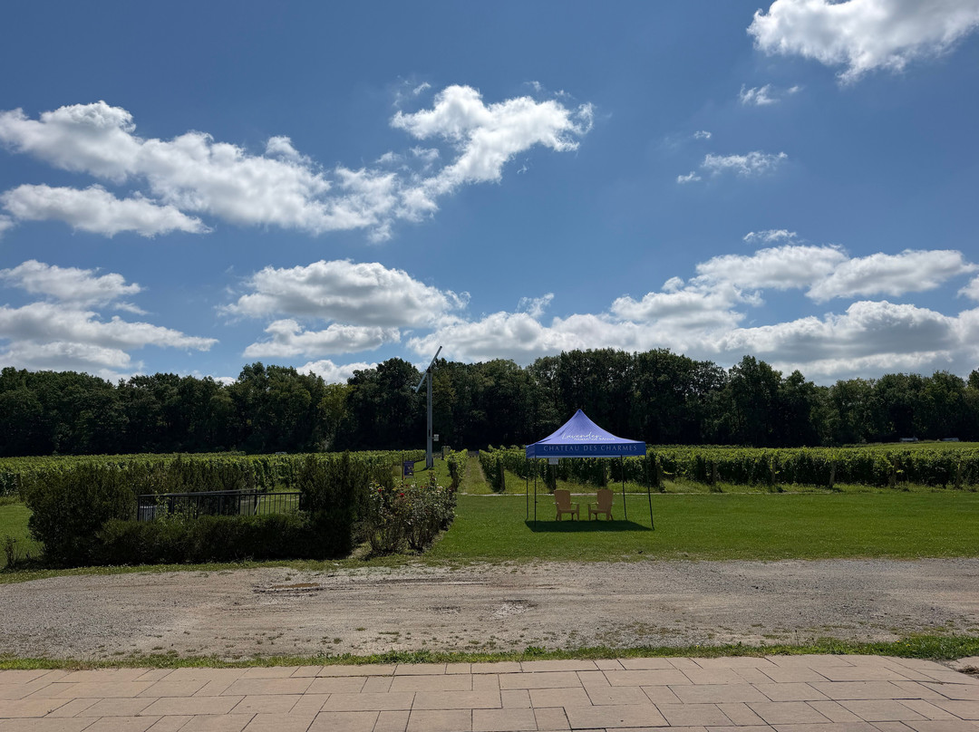 Château Des Charmes Winery-滨湖尼亚加拉必去景点