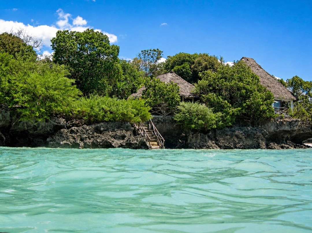 The Island - Pongwe Lodge主图