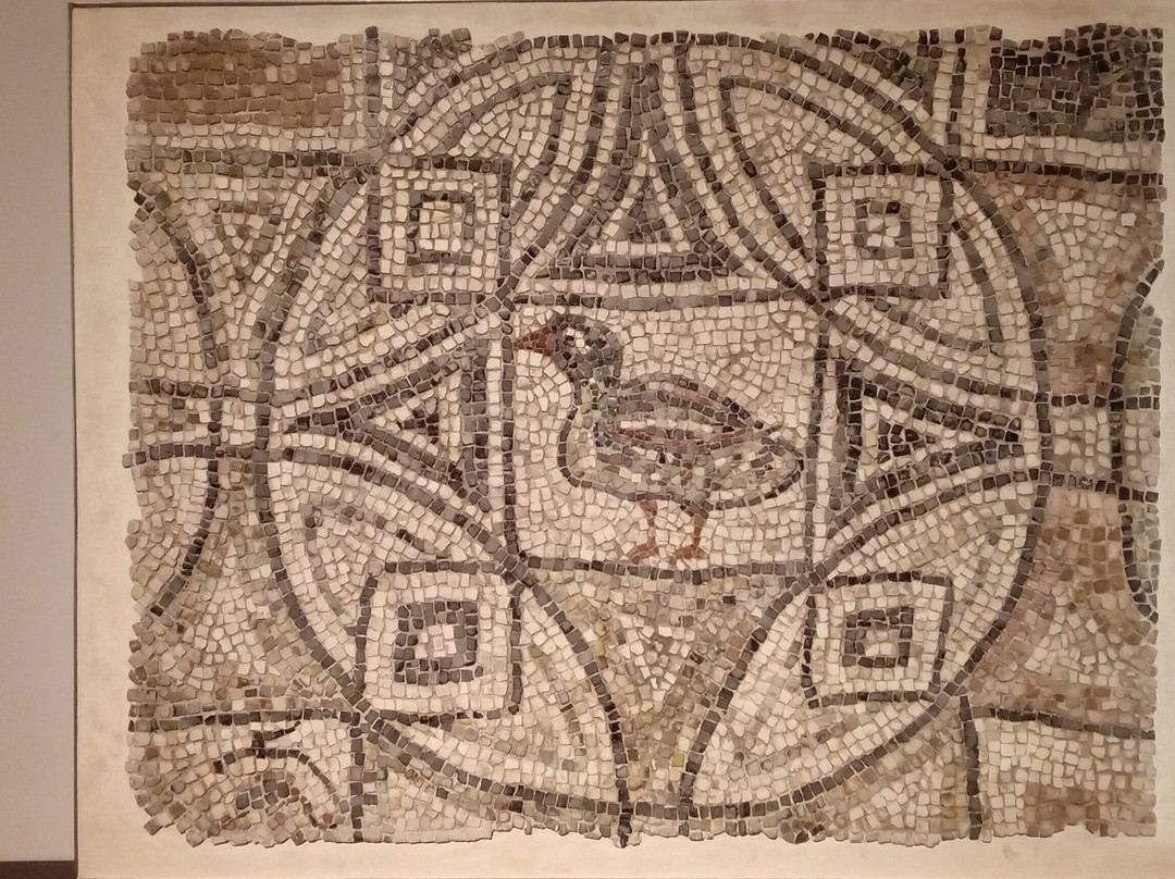 CLASSIS RAVENNA - Museo della Citta e del Territorio-拉韦纳必去景点