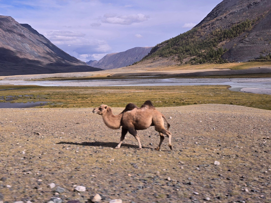 Altai Expeditions-Olgiy必去景点