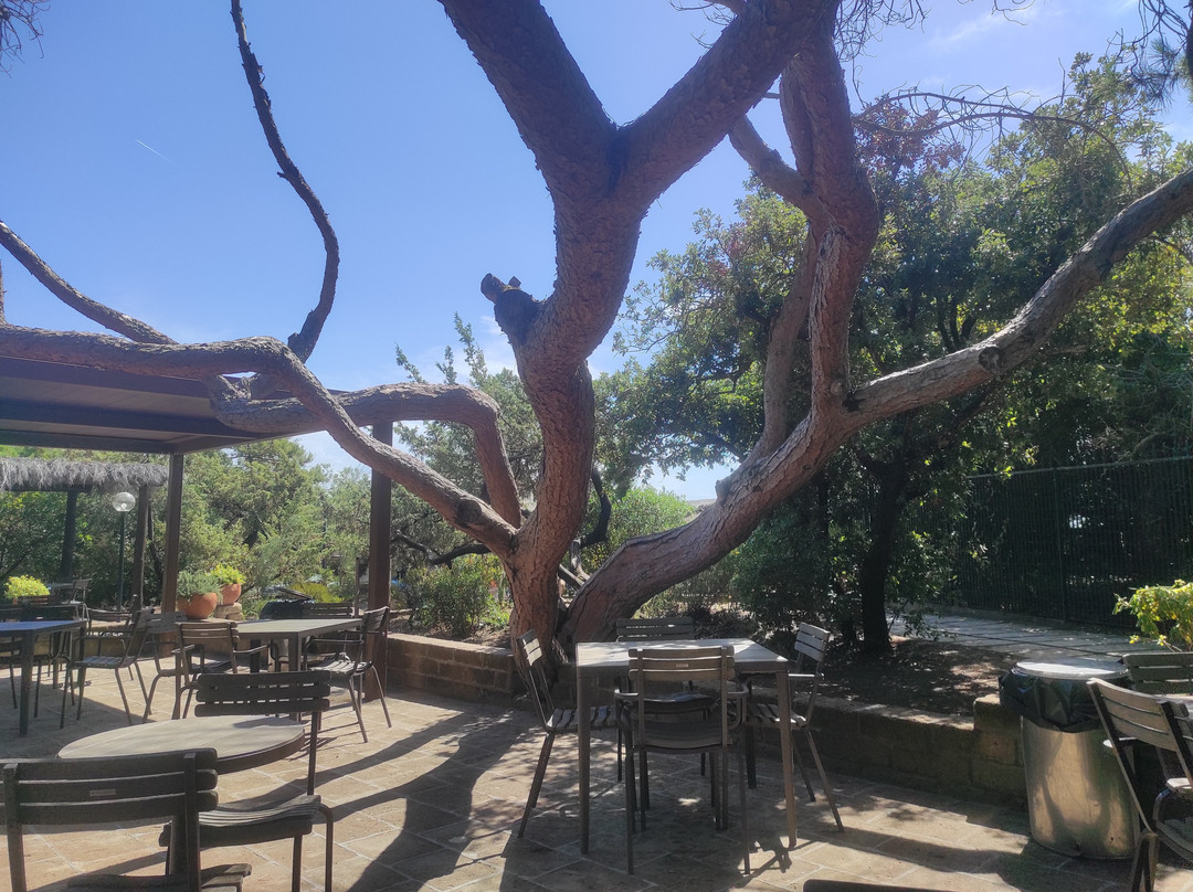 罗卡马雷度假村 - Levante之家酒店主图