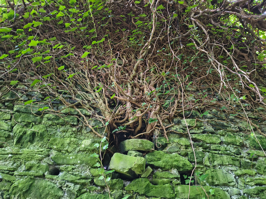 Gleninagh Castle and Fulacht Fiadh-Ballyvaughan必去景点