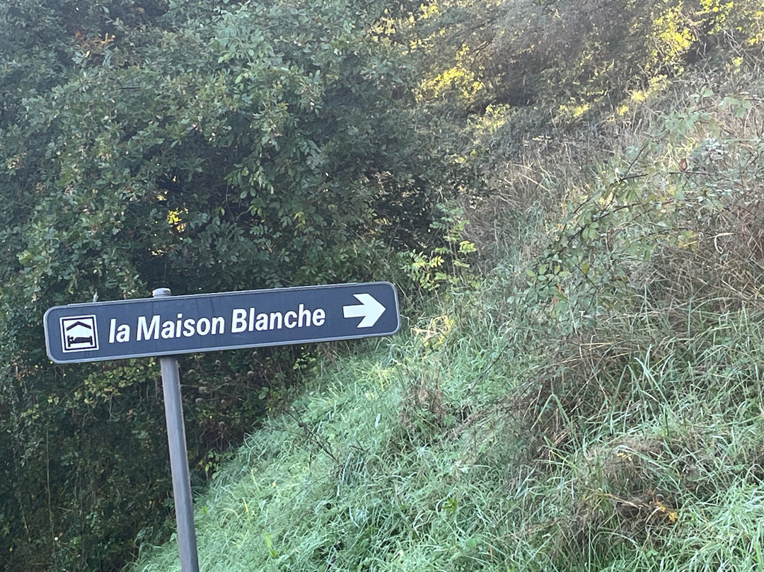 La Maison Blanche主图