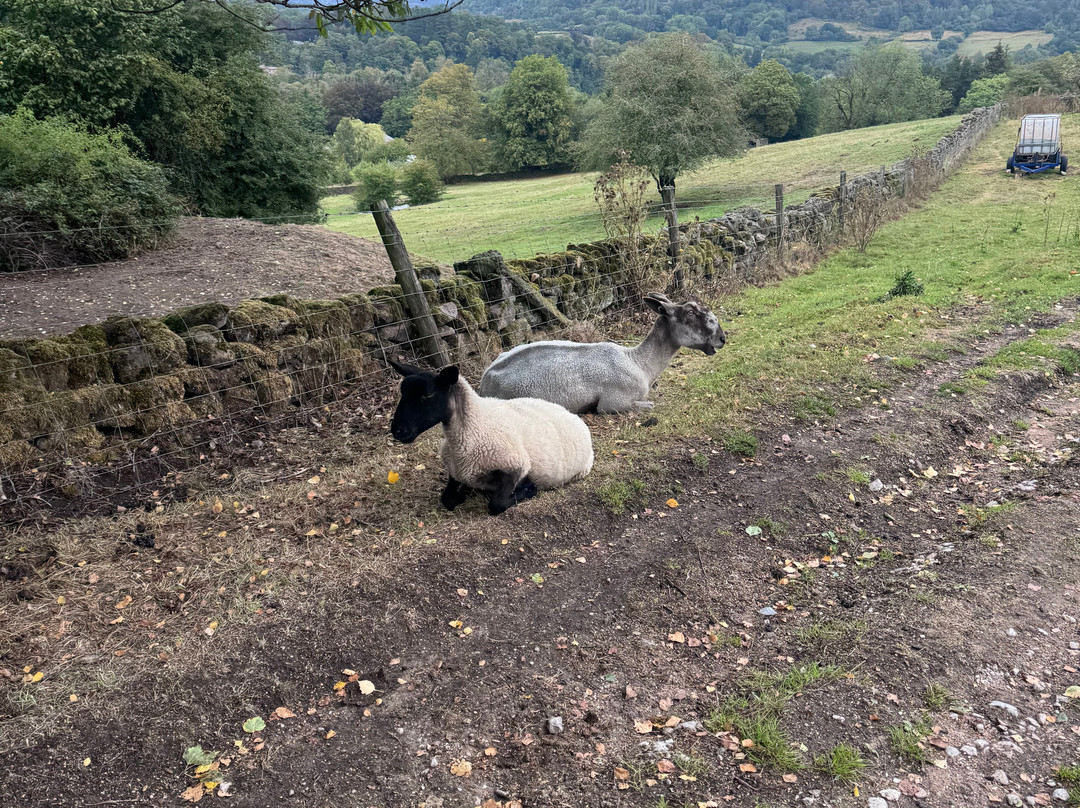 Cromford Canal-Cromford必去景点