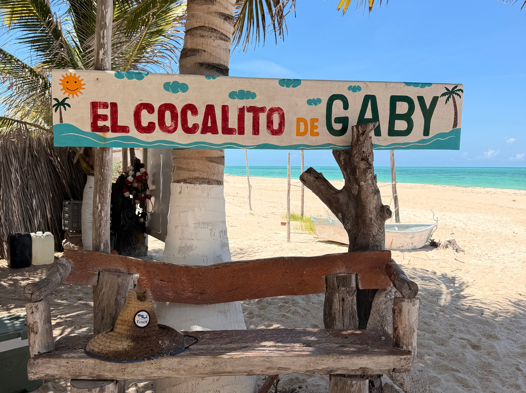 My Holbox Tours-Holbox必去景点