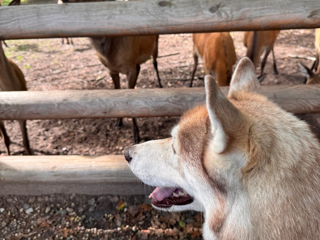 Wildpark Eekholt-Grossenaspe必去景点