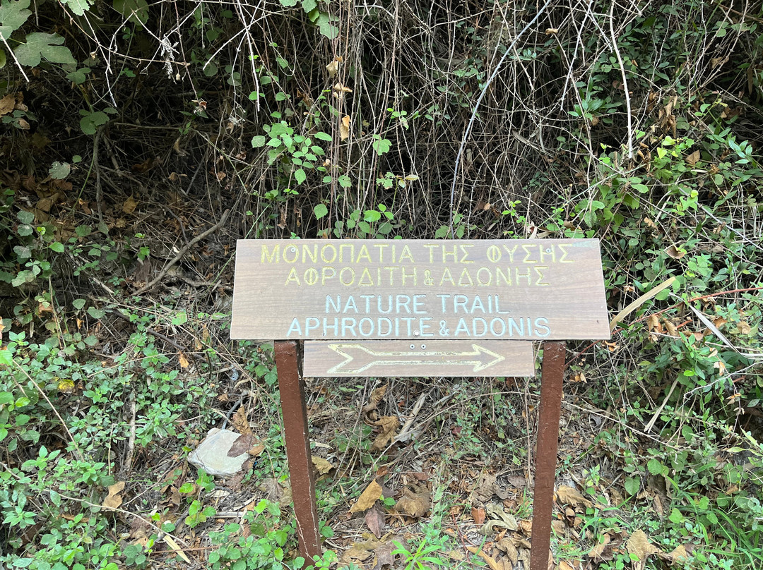 Aphrodite Trail-Latchi必去景点