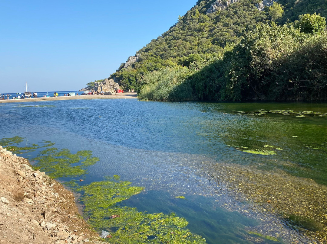 Olympos Archeological Site-奥林帕斯必去景点