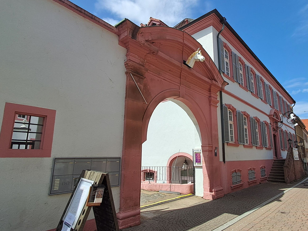 Altstadt-Kirchheimbolanden必去景点