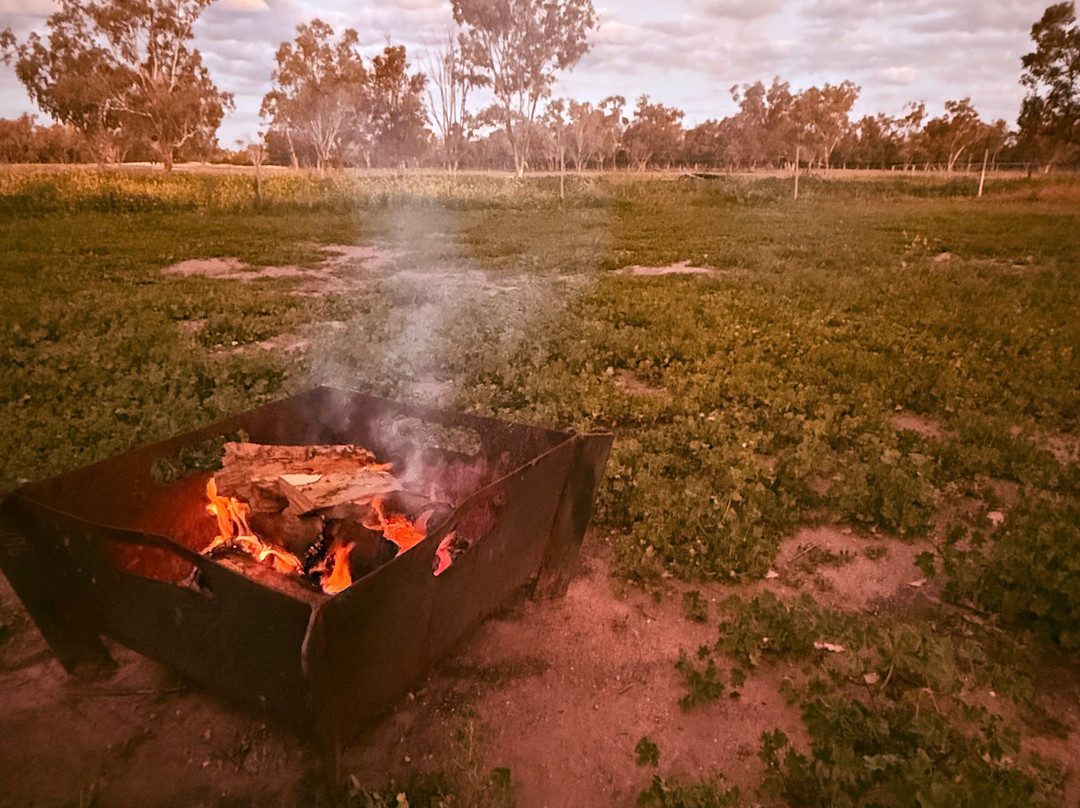 Carinya CAMPING, GLAMPING & TOURS-Lightning Ridge必去景点