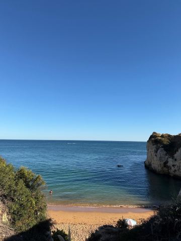 维拉维塔公园水疗度假村-旅行者