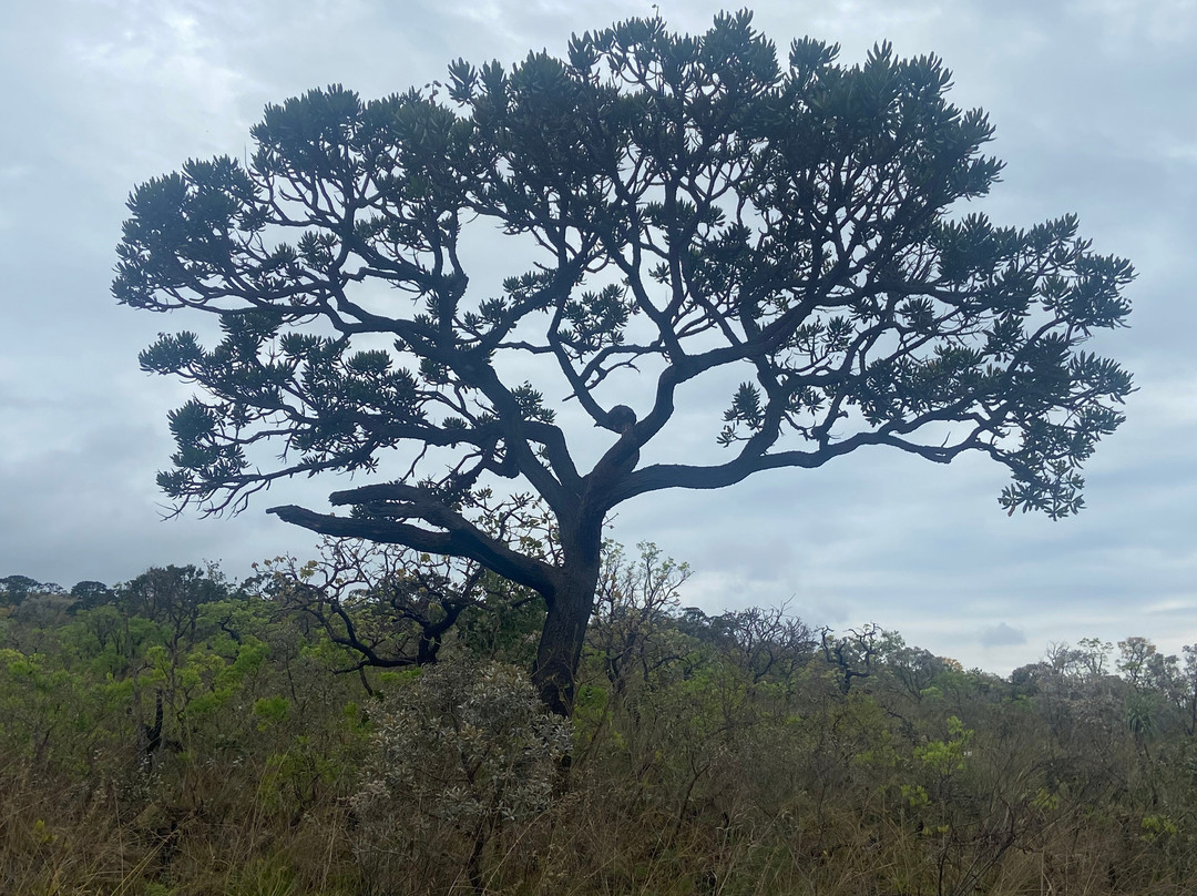 Morada do Carcará Eco Parque-Capitolio必去景点