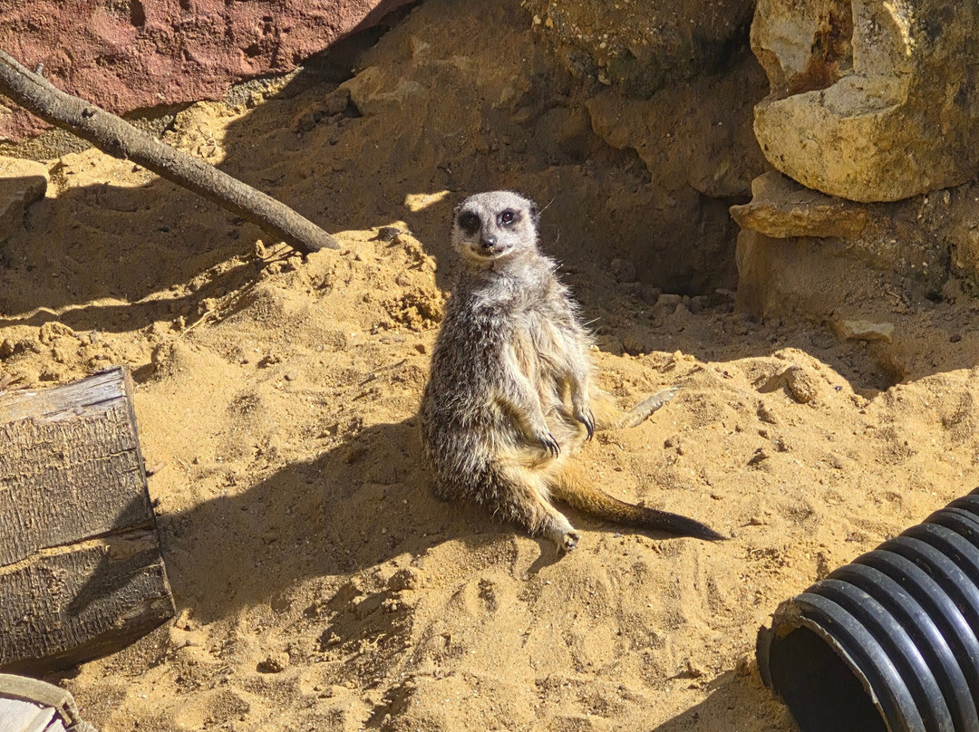 Mablethorpe Seal Sanctuary and Wildlife Centre-Mablethorpe必去景点