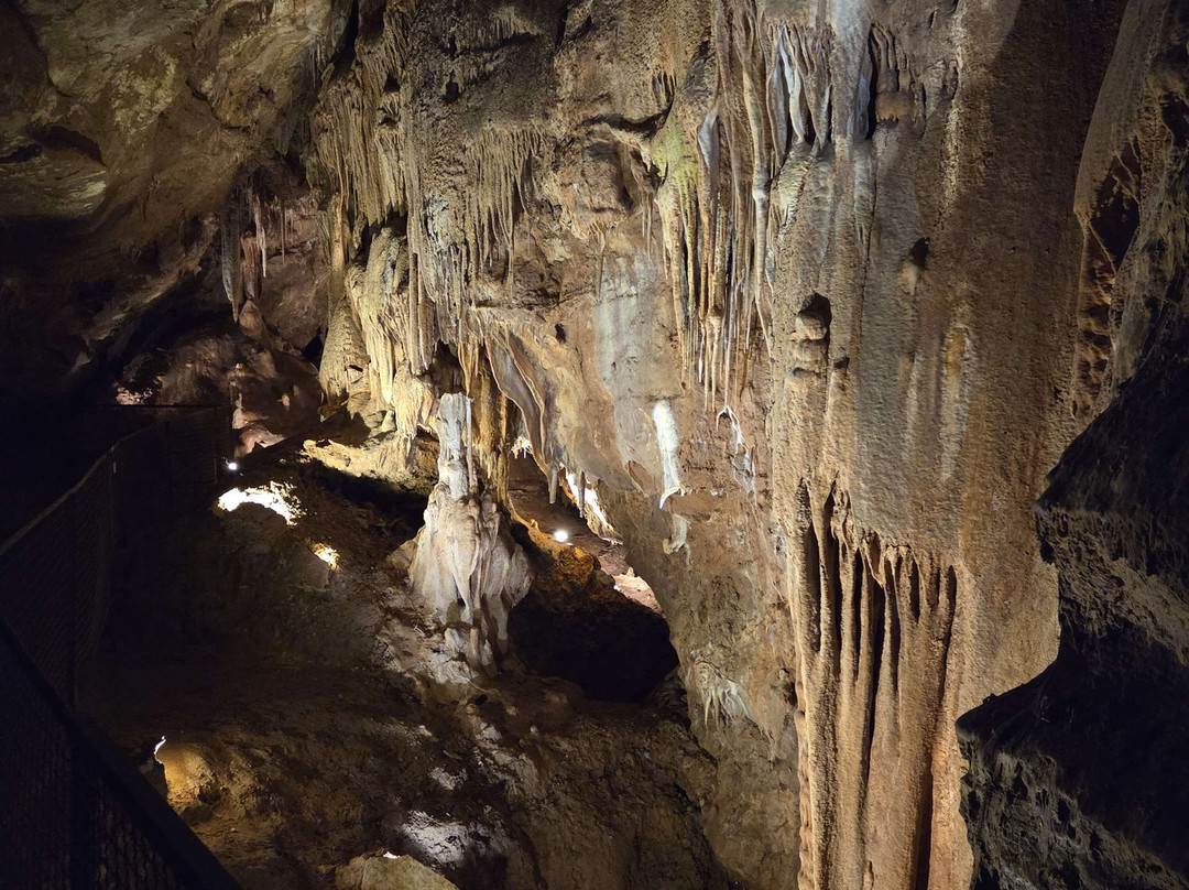 Grottes de Lacave-Lacave必去景点