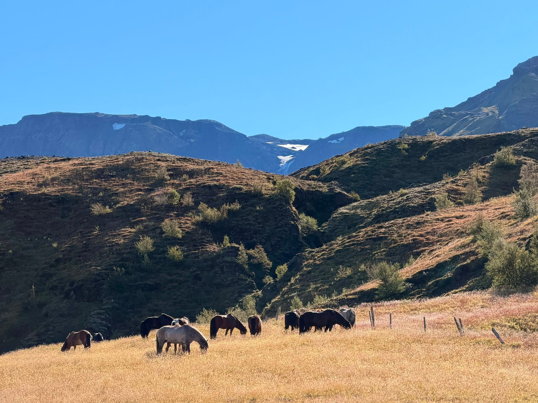 Eldhestar Volcano Horses-Olfus必去景点