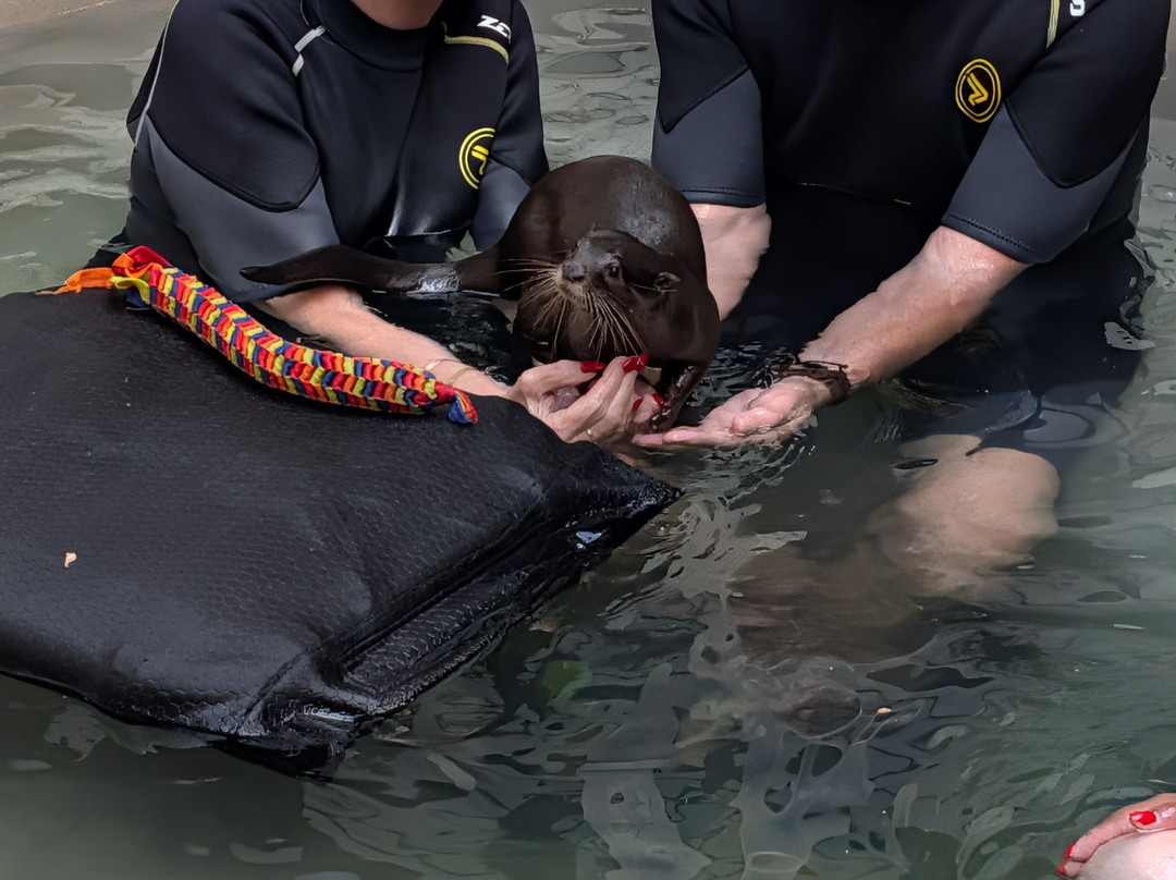 Tanganyika Wildlife Park-Goddard必去景点