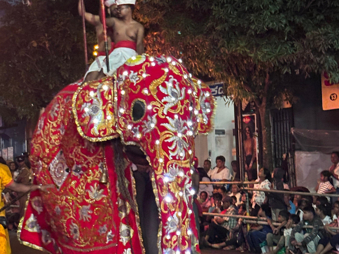 Taxi Kandy AGS Tours Sri Lanka-康提必去景点