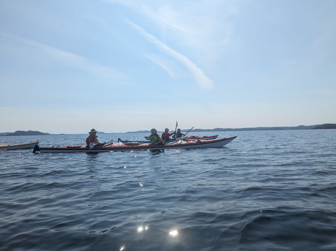 Adventures Newfoundland-Fortune Harbour必去景点