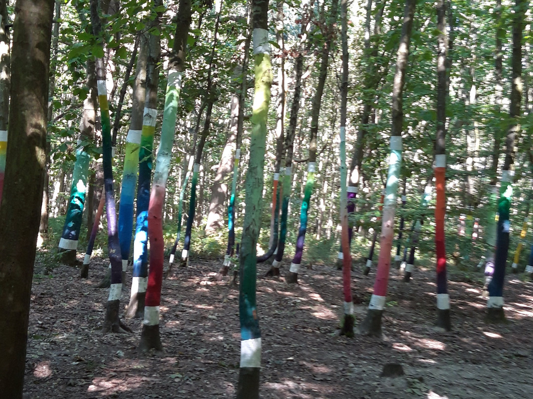 Forêt monumentale de canteleu-Canteleu必去景点