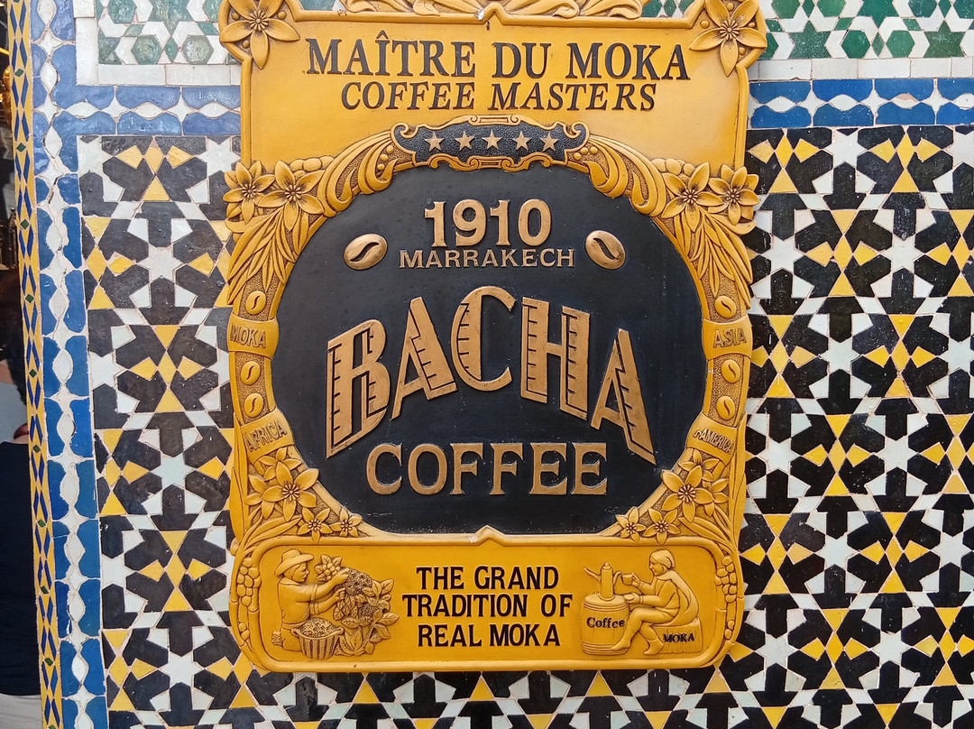 Dar El Bacha - Musee des Confluences-马拉喀什必去景点