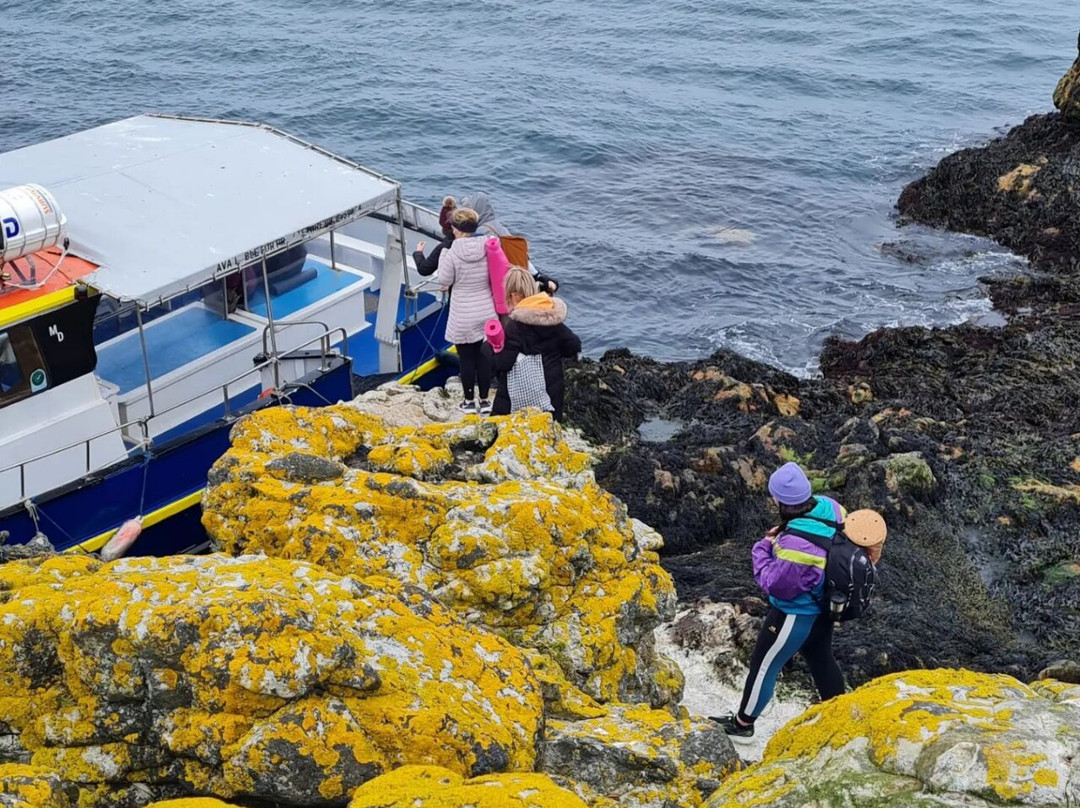 Howth Cliff Cruises-霍斯必去景点