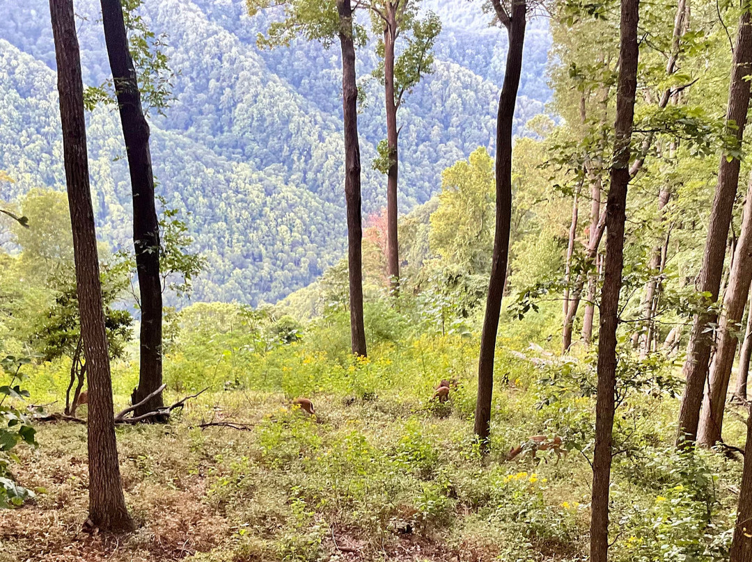 普里兰度假村 - 阿尔伯格度假村精选主图