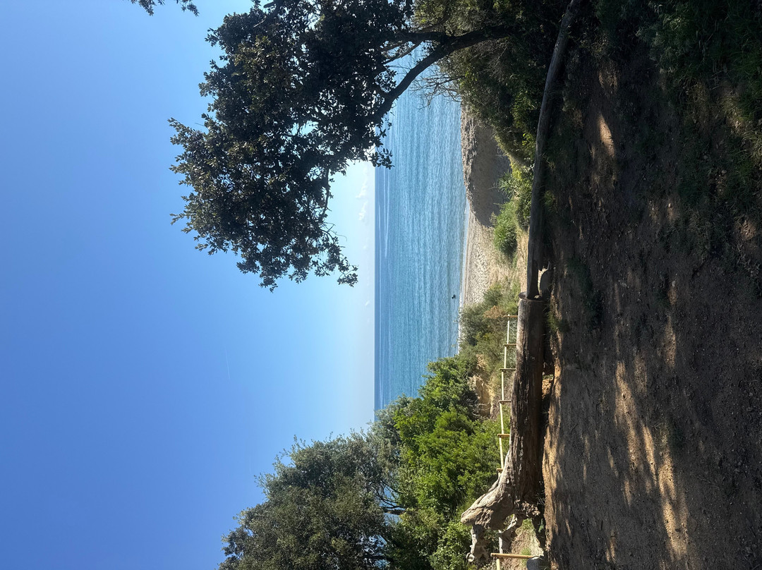 Camping Calella