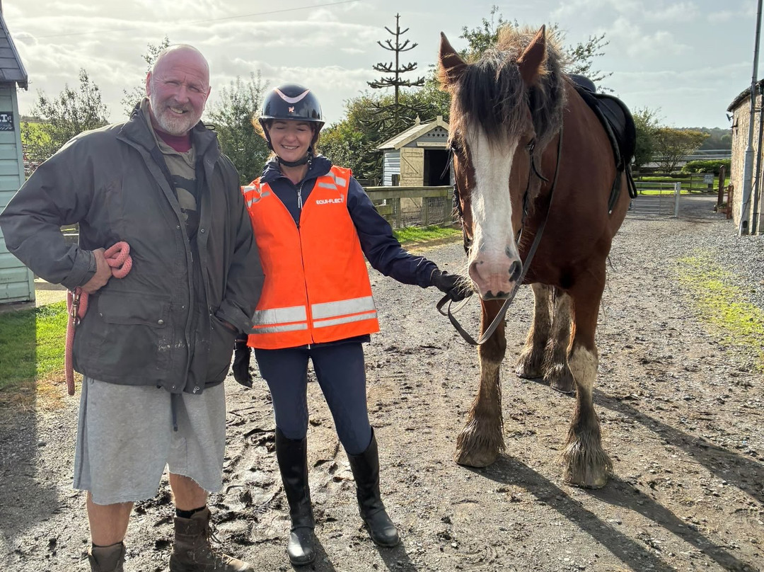 Blackstone Clydesdales Experience-Cumnock必去景点
