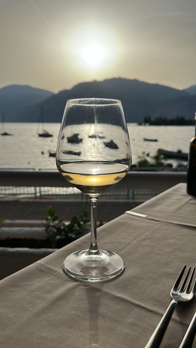瓦尔迪索诺酒店 - 限成人-旅行者
