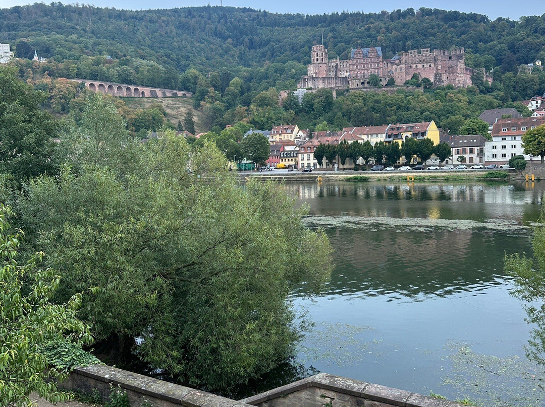 Neckar River-海德尔堡必去景点