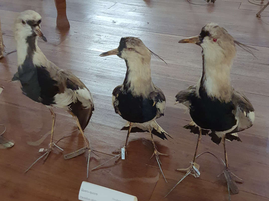 Museu de Biologia Prof. Mello Leitão-Santa Teresa必去景点