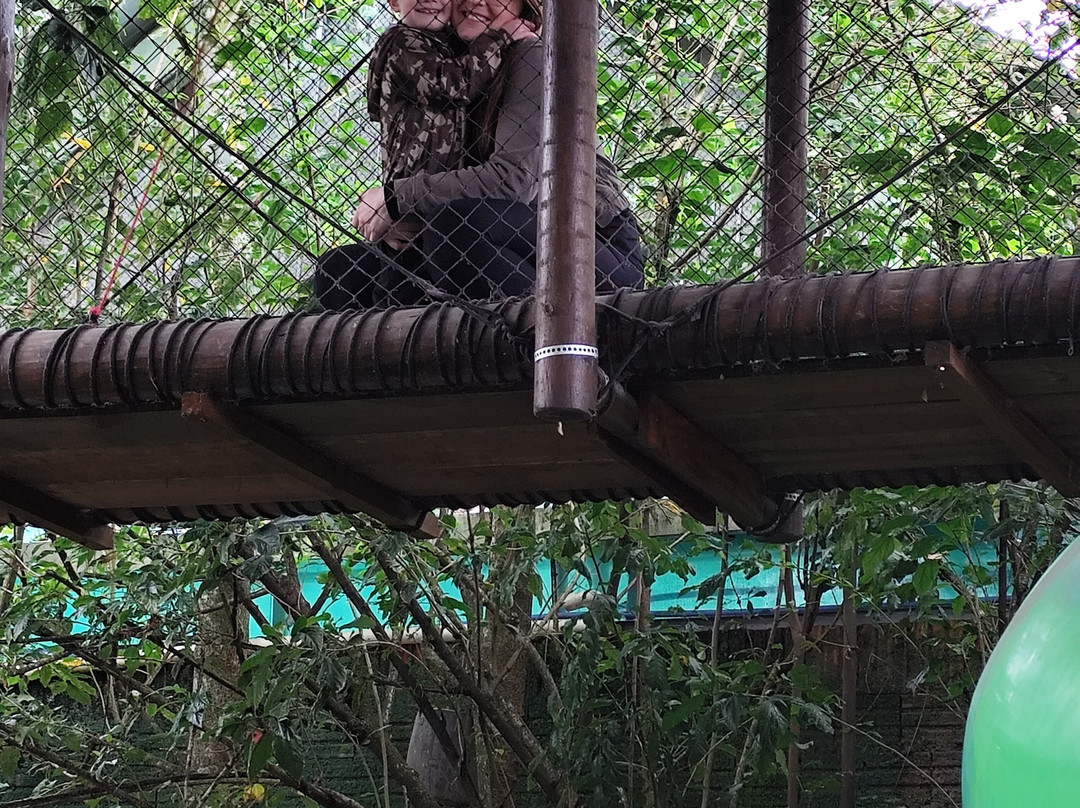 Vila Encantada Parque dos Dinossauros-Pomerode必去景点