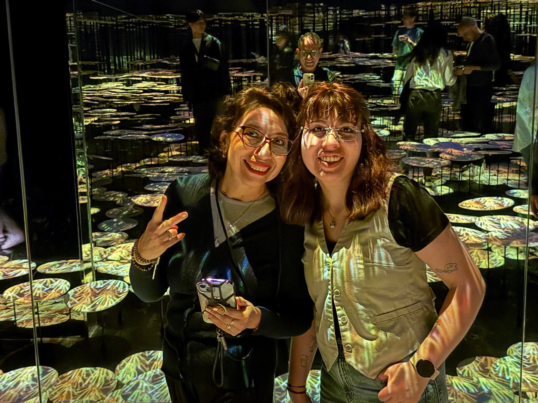 Teamlab Borderless Tokyo-港区必去景点