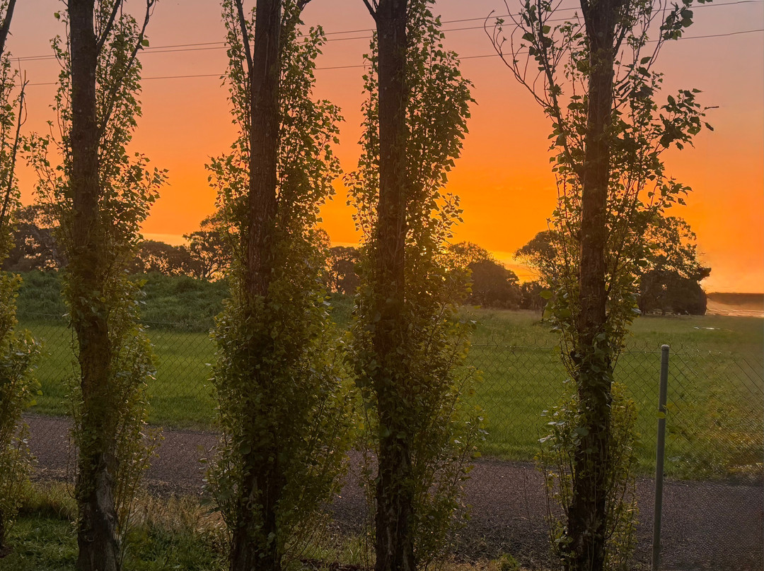 Penola Coonawarra Caravan Park