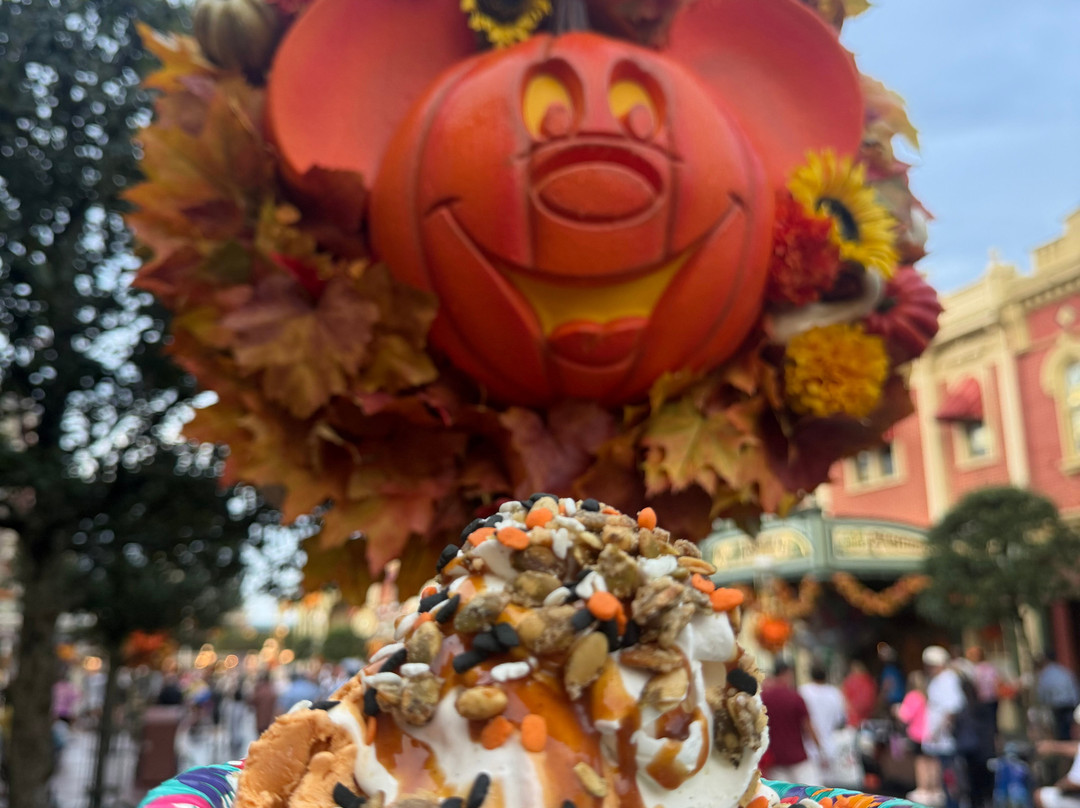 Mickey’s Not So Scary Halloween Party-奥兰多必去景点