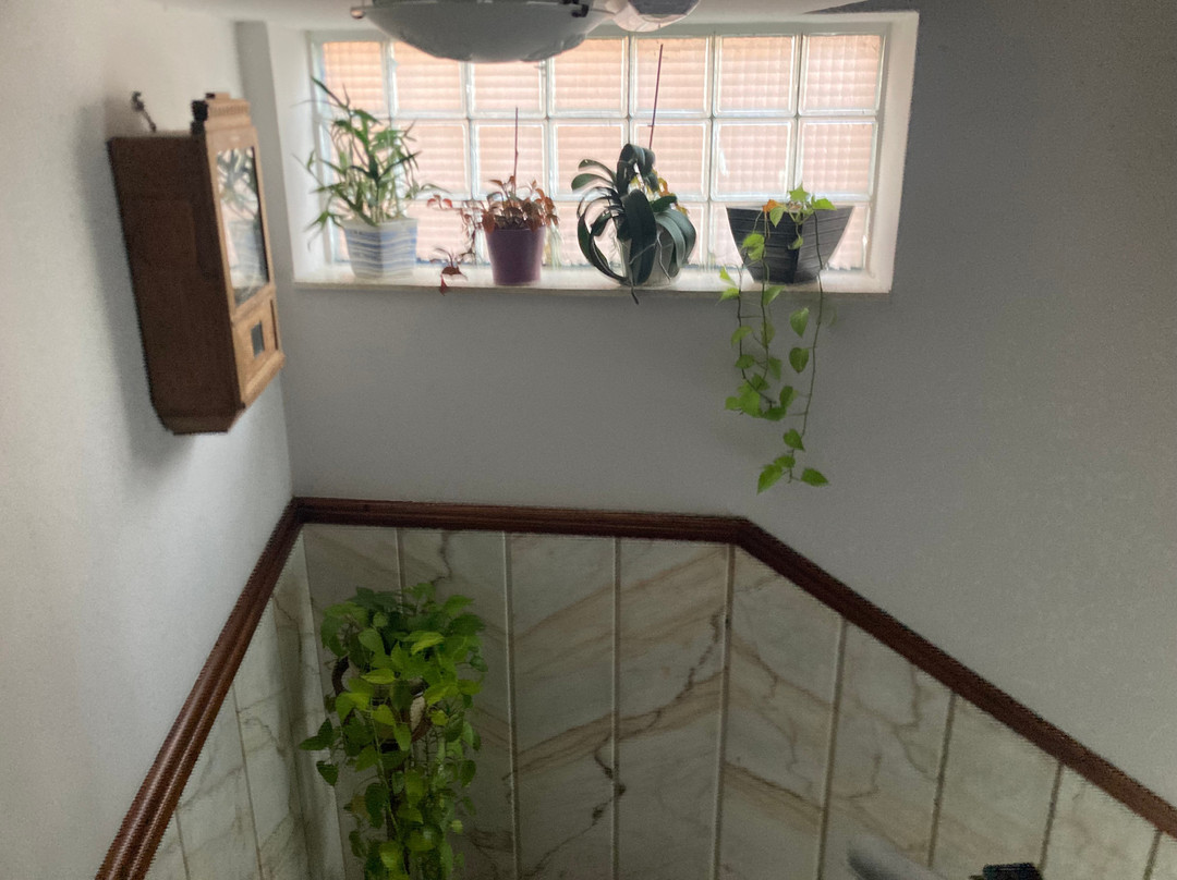 佩托欧特斯民宿主图