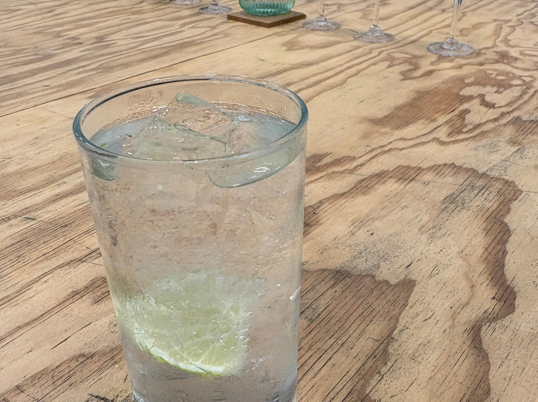 Lind & Lime Gin Distillery-爱丁堡必去景点