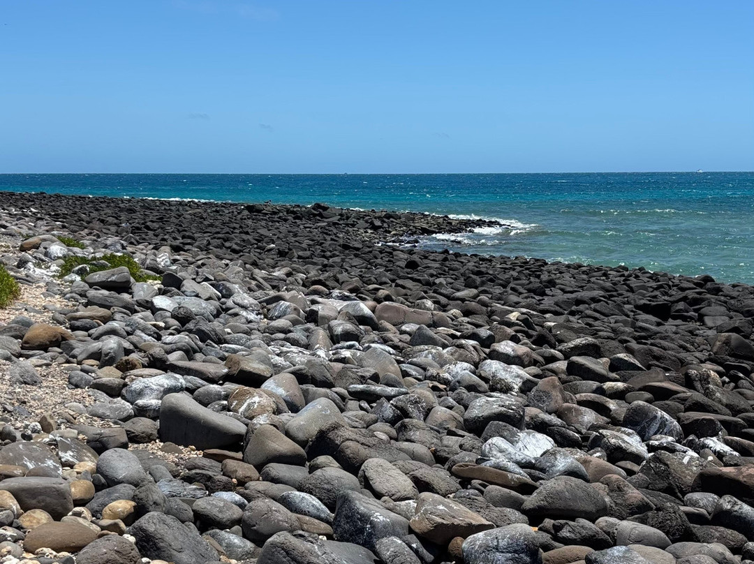 Abrolhos Embarcacoes-Caravelas必去景点